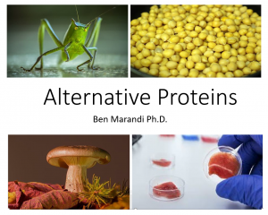 The future of alternative proteins and in its impact on food industry